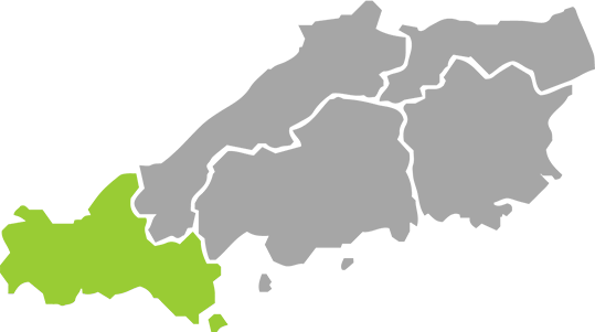 山口県全域